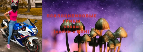 PSILOCYBIN Снежногорск