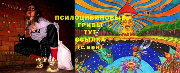 PSILOCYBIN Снежногорск