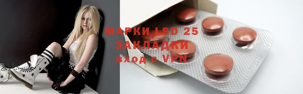 PSILOCYBIN Снежногорск