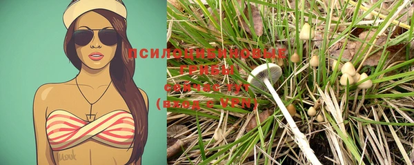 PSILOCYBIN Снежногорск
