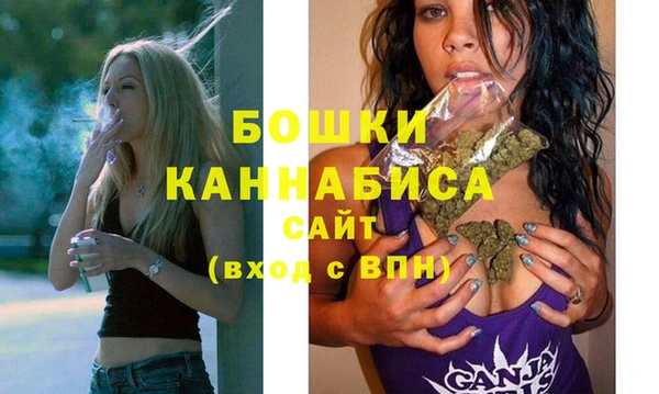 прущие грибы Снежинск