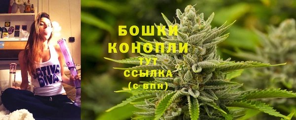 прущие грибы Снежинск