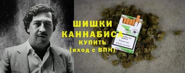 PSILOCYBIN Снежногорск