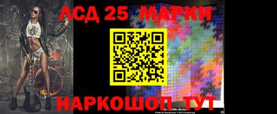 крисы Беслан