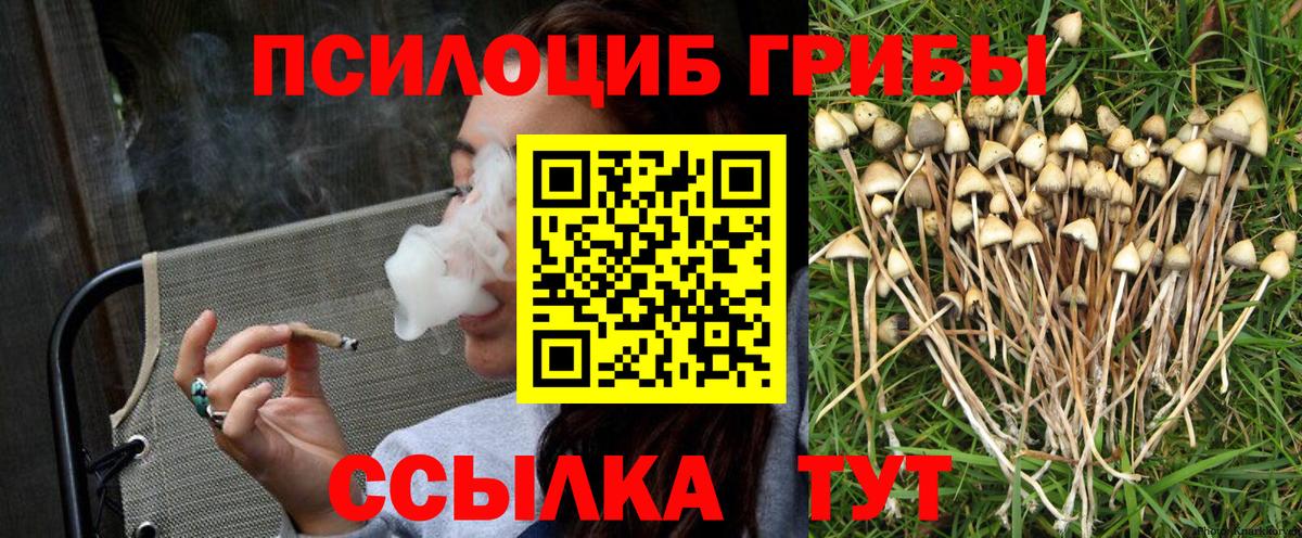 Псилоцибиновые грибы Psilocybe  Буйнакск  наркотики  Псилоцибиновые грибы прущие грибы 