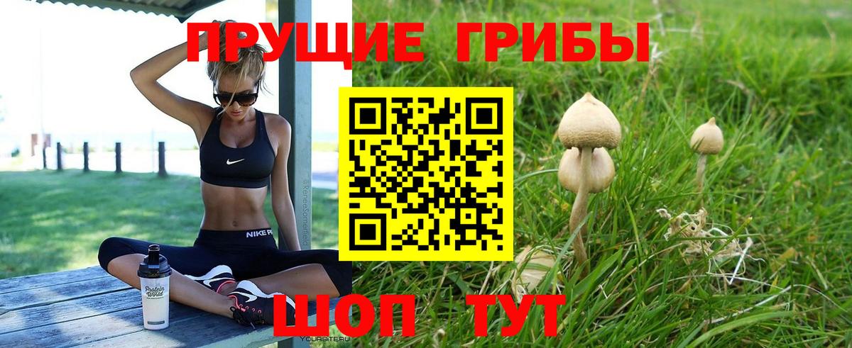 Буйнакск  Галлюциногенные грибы мухоморы  Вход с VPN 