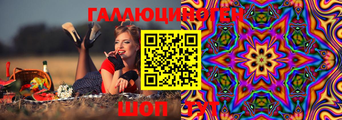 Псилоцибиновые грибы Psilocybe Буйнакск
