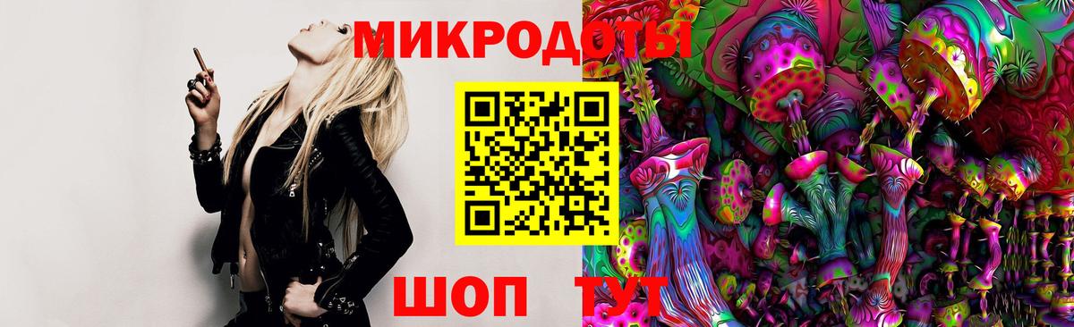 Галлюциногенные грибы GOLDEN TEACHER Буйнакск